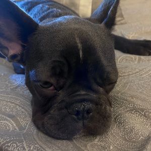 Meet your Posher, Kota